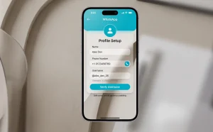 Smartphone screen showing the username configuration interface in WhatsApp application